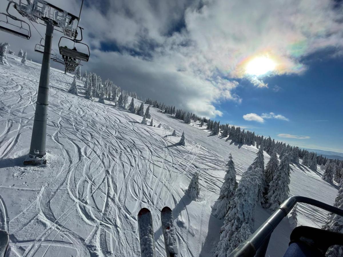 Pano Kopaonik Panorama Appartement Buitenkant foto